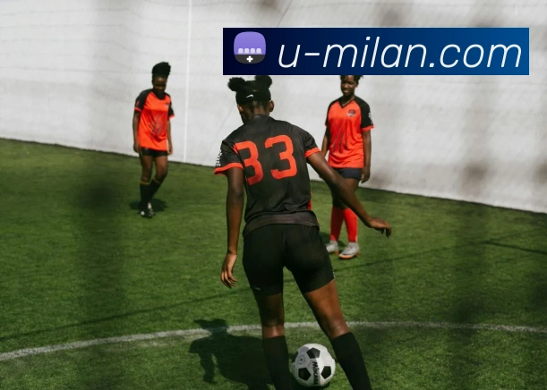 米兰体育APP 封面图